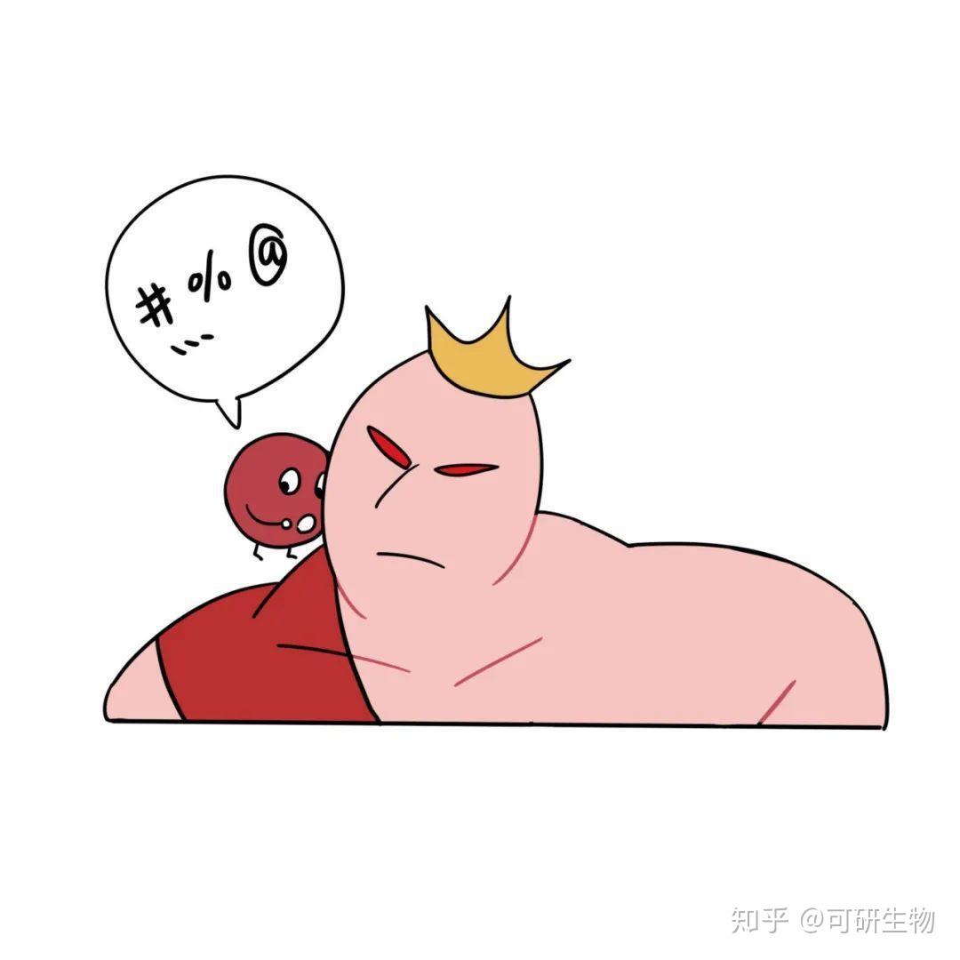 子宫动漫，探索生命摇篮与创意领域的神秘之旅