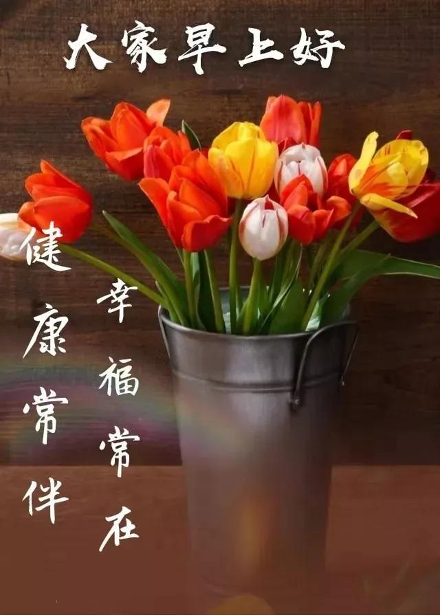 清晨温馨寄语，科技新星唤醒生活的美好瞬间