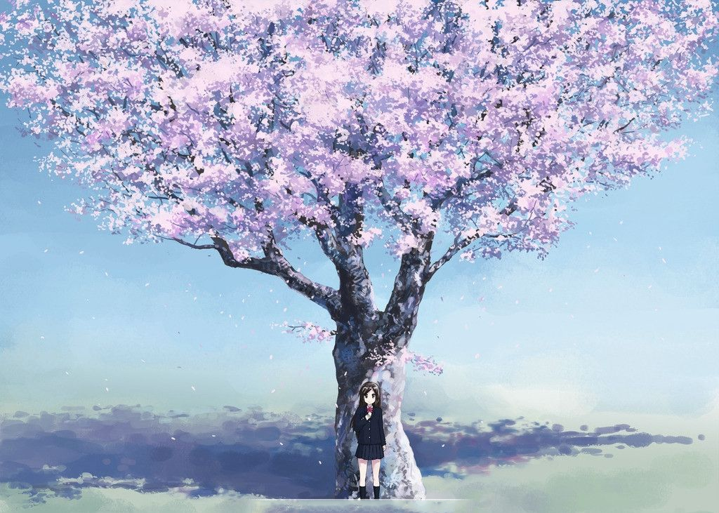 樱花动漫手机版，友情绽放与陪伴的温暖时光