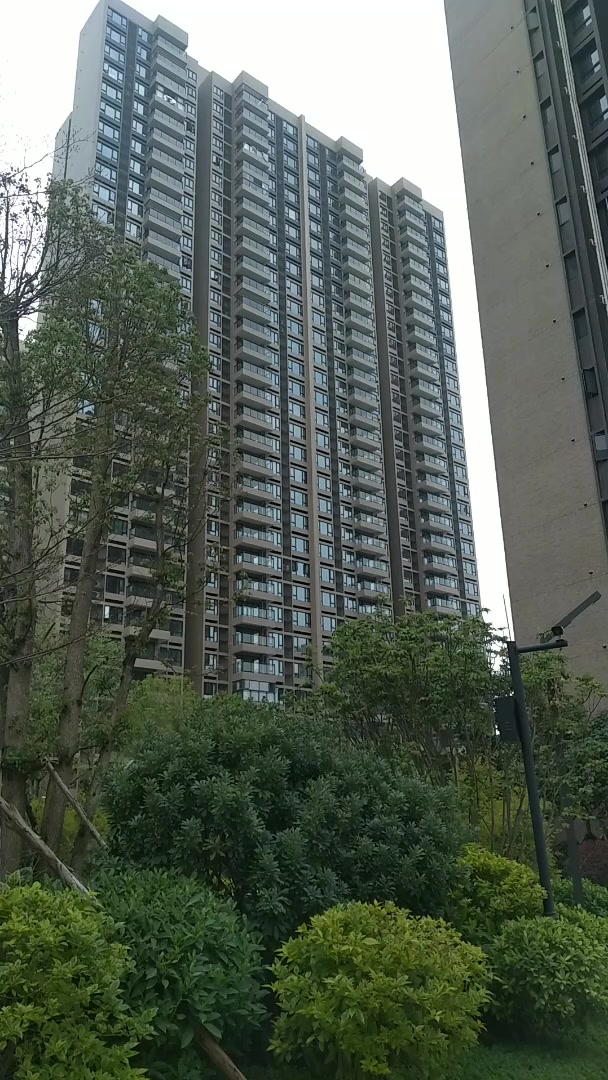 基础知识 第56页