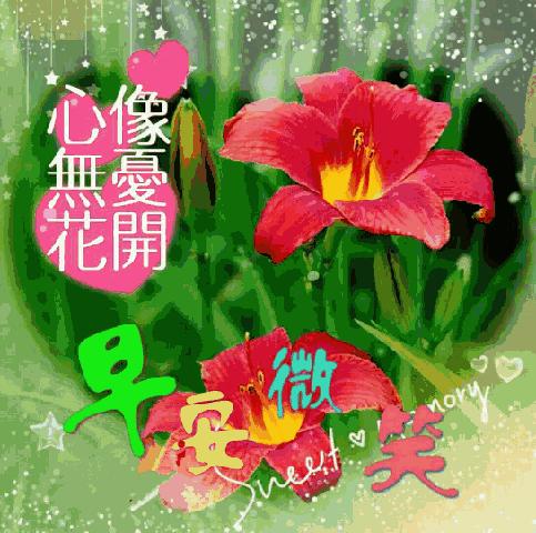 蜕变的力量，学习赋予我们自信与成就的最新动态