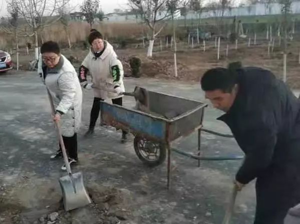 宁夏张国彦最新动态揭秘，探索自然美景之旅，追寻内心平和宁静的足迹