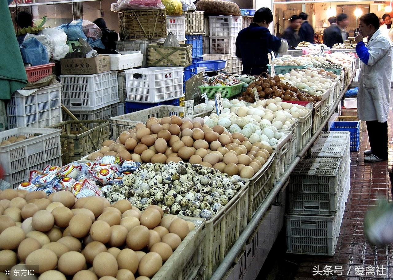 湖北鸡蛋价格最新行情及分析简报