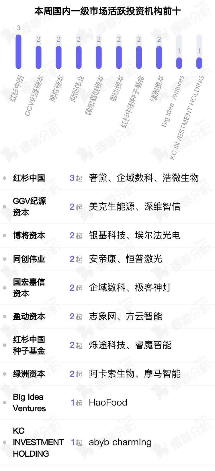 红杉资本的温暖投资之旅，友情与陪伴的奇妙故事揭晓