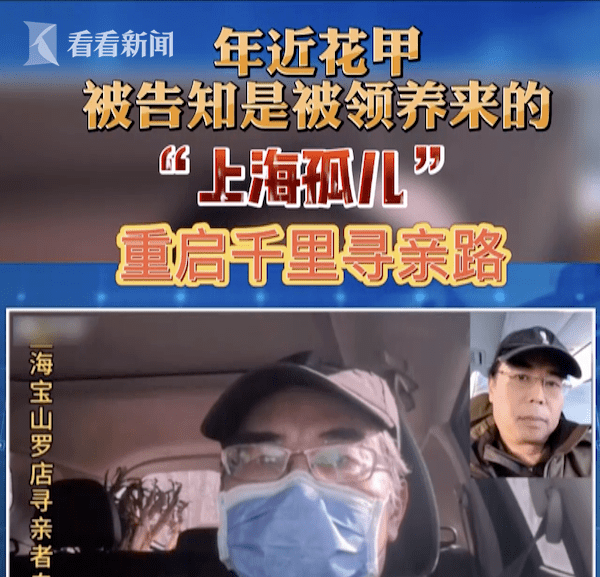 东方110最新资讯深度解析与观点阐述